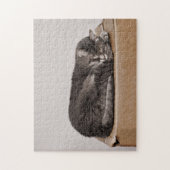 可愛いグレーのタビー猫が寝ているオンボックス ジグソーパズル (縦)