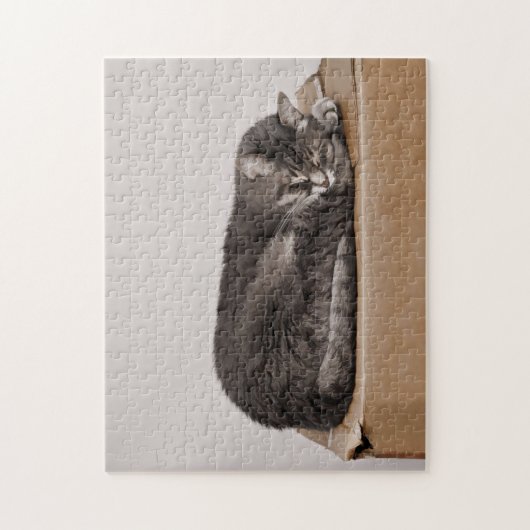 可愛いグレーのタビー猫が寝ているオンボックス ジグソーパズル (縦)