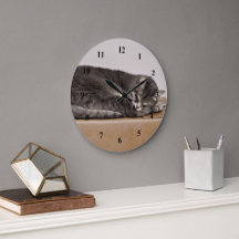 可愛いグレーのタビー猫が寝ているオンボックス