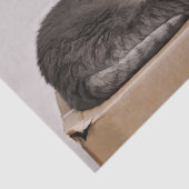 可愛いグレーのタビー猫が寝ているオンボックス 薄葉紙 (詳細)