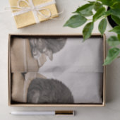 可愛いグレーのタビー猫が寝ているオンボックス 薄葉紙 (ギフト)