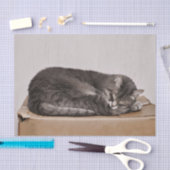 可愛いグレーのタビー猫が寝ているオンボックス 薄葉紙 (クラフト)