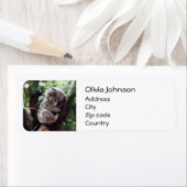 可愛いコアラリラックスクマが木に ラベル (インサイチュ)