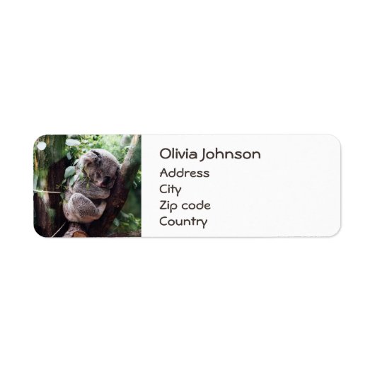 可愛いコアラリラックスクマが木に ラベル (正面)