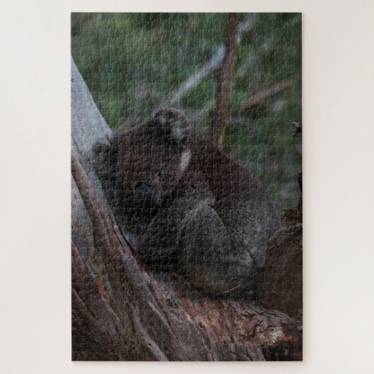 可愛いコアラTree Australiaに眠る1014ピース ジグソーパズル (縦)