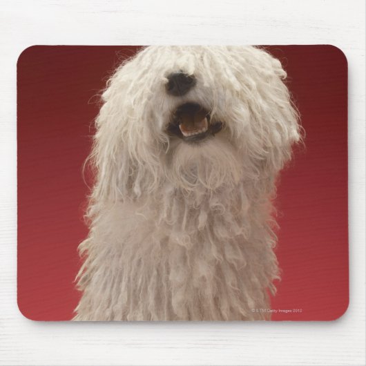可愛いコモンドー犬 マウスパッド (正面)