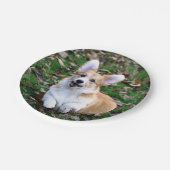 可愛いコルギ犬が飛び跳ねる ペーパープレート (アングル)