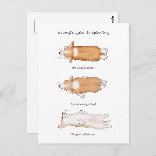 可愛いコーギの子犬のガイドsplootingはがき ポストカード (正面/裏面)