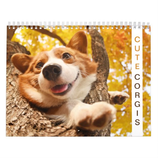 可愛いコーギー！子犬 カレンダー (カバー)