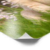 可愛いゴールデンレトリバー犬の子犬 – ペーパープリント フォトプリント            (角)