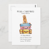 可愛いゴールデン・ドードル犬の動く告知 ポストカード (正面/裏面)