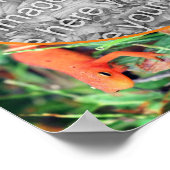 可愛いサラマンダーパーソナライズされた自分の写真を作成 ポスター (角)