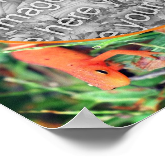 可愛いサラマンダーパーソナライズされた自分の写真を作成 ポスター (角)