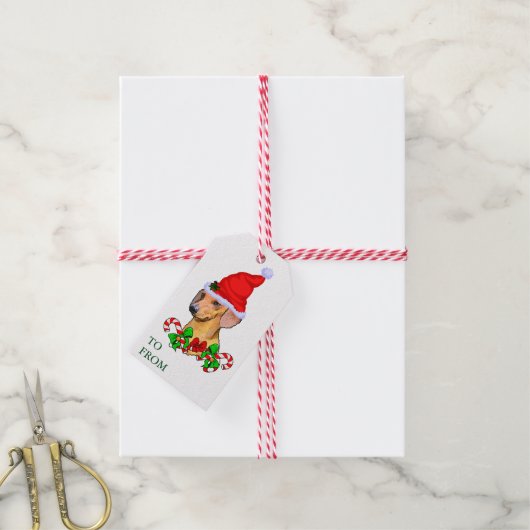 可愛いサンタダシュントのクリスマスギフトタグ ギフトタグ (より糸付き)