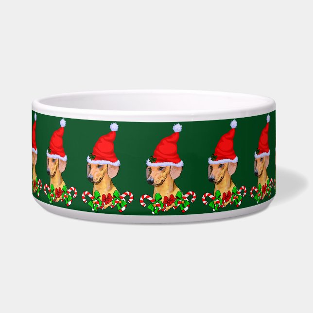 可愛いサンタダシュンドクリスマス ボウル (正面)