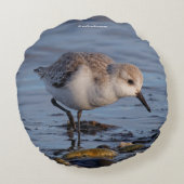 可愛いサンダーリングのシビドリのビーチ ラウンドクッション (裏面)