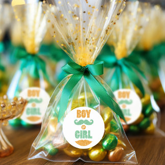 可愛いサンパトリックの日の赤ちゃんシャワー性別の暴露 ラウンドシール