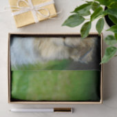 可愛いシェットランドシェプドッグ写真 薄葉紙 (ギフト)