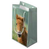 可愛いシェットランドポニーフォール馬頭正面写真 –  スモールペーパーバッグ (正面アングル)