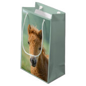 可愛いシェットランドポニーフォール馬頭正面写真 –  スモールペーパーバッグ (裏面アングル)