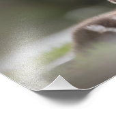 可愛いシック自然写真 フォトプリント            (角)