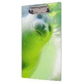 可愛いシフレンドリーール水中 クリップボード (左)