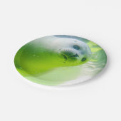 可愛いシフレンドリーール水中 ペーパープレート (アングル)