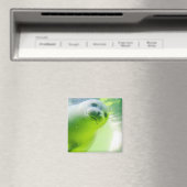 可愛いシフレンドリーール水中 マグネット (インサイチュ (食洗機))