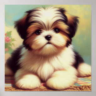 可愛いシーズー(犬)の子犬絵画の ポスター