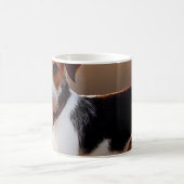 可愛いジャックラッセルテリア犬の写真 コーヒーマグカップ (中央)