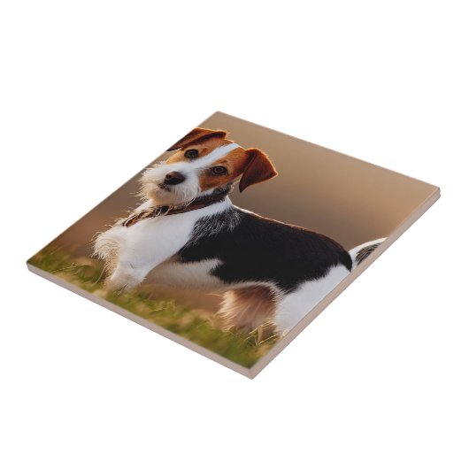 可愛いジャックラッセルテリア犬の写真 タイル (側面)