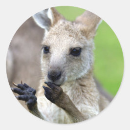 可愛いジョーイ・カンガルー ラウンドシール