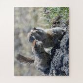 可愛いジリス（ゴファー、エブラツキ） ジグソーパズル (縦)