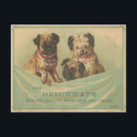 可愛いスクラップブック犬付きヴィンテージはがき ポストカード<br><div class="desc">1890年からのこの古いスクラップブックのトレードカードで可愛いヴィンテージの子犬の挨拶を送りなさい。あなたの特別な友達を作りながら幸せそうに見える3つの甘い楽しむ小さな犬はがき挨拶。色やサイズなど救済のアレイもしアウトへの変更が必要な場合は、ご安心ください。私たち連絡と私たちは、あなたの個人的な満足のために残りの部分を行う。</div>