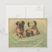 可愛いスクラップブック犬付きヴィンテージはがき ポストカード (正面/裏面)