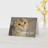 可愛いスコティッ恋しく思チの猫 カード (黄色い花)