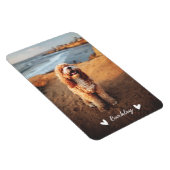 可愛いスタイリッシュハートペットの写真名 |白 マグネット (右側)