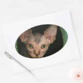 可愛いスフィンクスの子猫 楕円形シール (封筒)