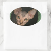 可愛いスフィンクスの子猫 楕円形シール (バッグ)