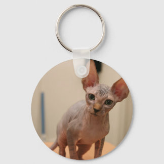 可愛いスフィンクス子猫「私は毛皮がないよね?」 キーホルダー