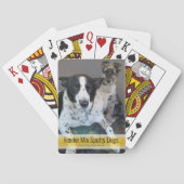 可愛いスポッティヒーラーミックスドッグテンプレート写真 トランプ (裏面)