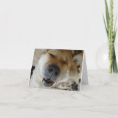 可愛いスマイルを持つ日考える本の秋田犬 カード (正面)