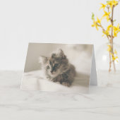 可愛いセラピー考えキットンズオブユアカード カード (黄色い花)