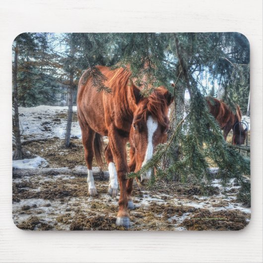 可愛いソレルマーレと枝の馬の恋人ギフト マウスパッド (正面)