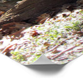 可愛いタイガーのポスター ポスター (角)