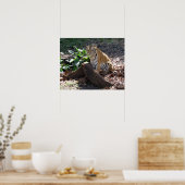 可愛いタイガーのポスター ポスター (キッチン)