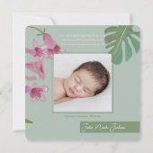 可愛いタイガージャングル誕生のお知らせ サンキューカード (裏面)