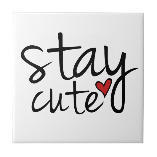 可愛いタイルを保つ タイル (正面)