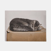 可愛いタビー猫が寝るオンボックス ドアマット (正面)