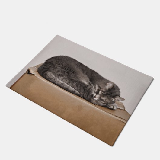 可愛いタビー猫が寝るオンボックス ドアマット (アングル)